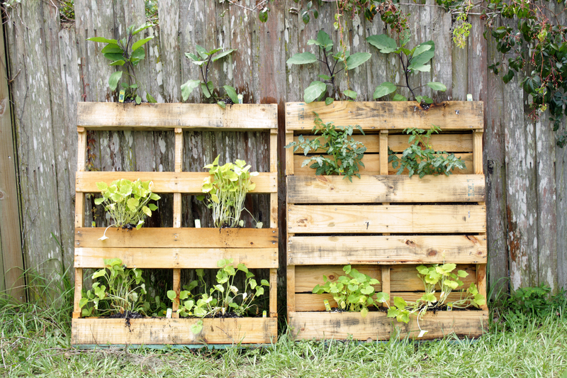 waste removal waste disposal